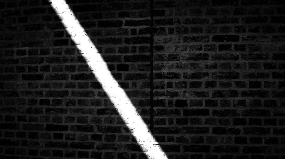 Stacks Image 2669
