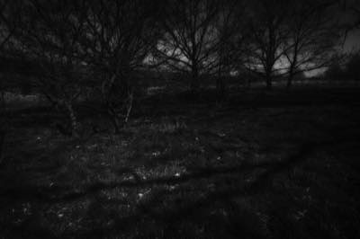 Stacks Image 105